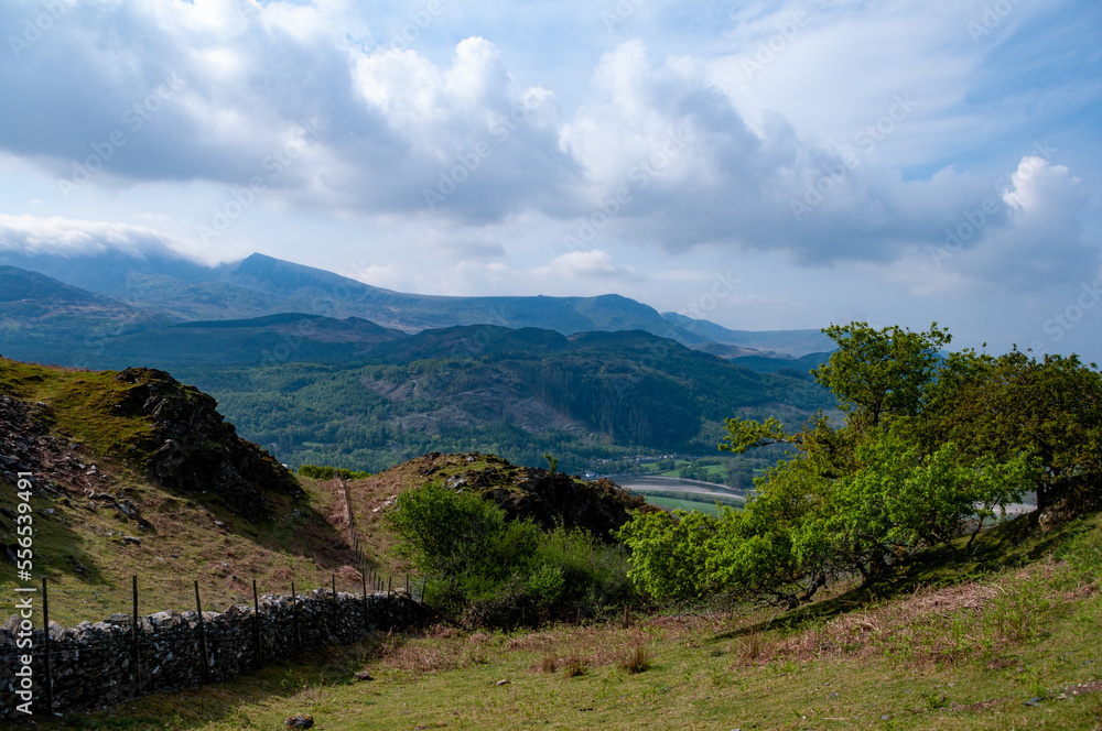 View towards Cader Idris across the River Mawddach from New Precipice Walk, which enables disabled access to panoramic mountain views. Llanelltyd, Dolgellau, Gwynedd, Wales.