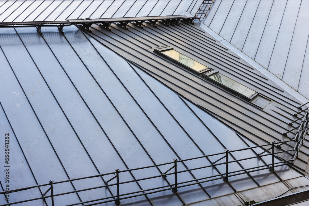 Shiny metal roof with railings and attic windows, modern architecture Shiny metal roof with railings and attic windows, modern architecture