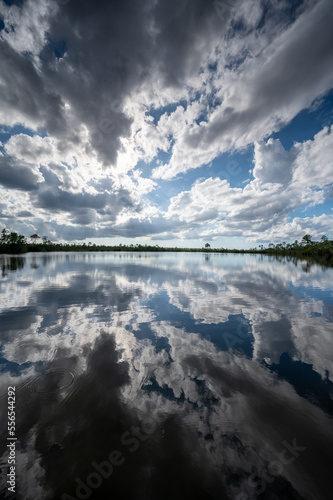 Complex cloudscape reflected in calm water of Pine Glades Lake in Everglades National Park, Florida on sunny autumn afternoon.