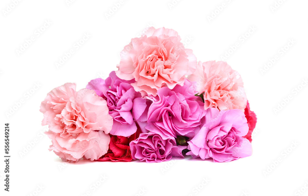 Stack Carnations on white background Stack Carnations on white background
