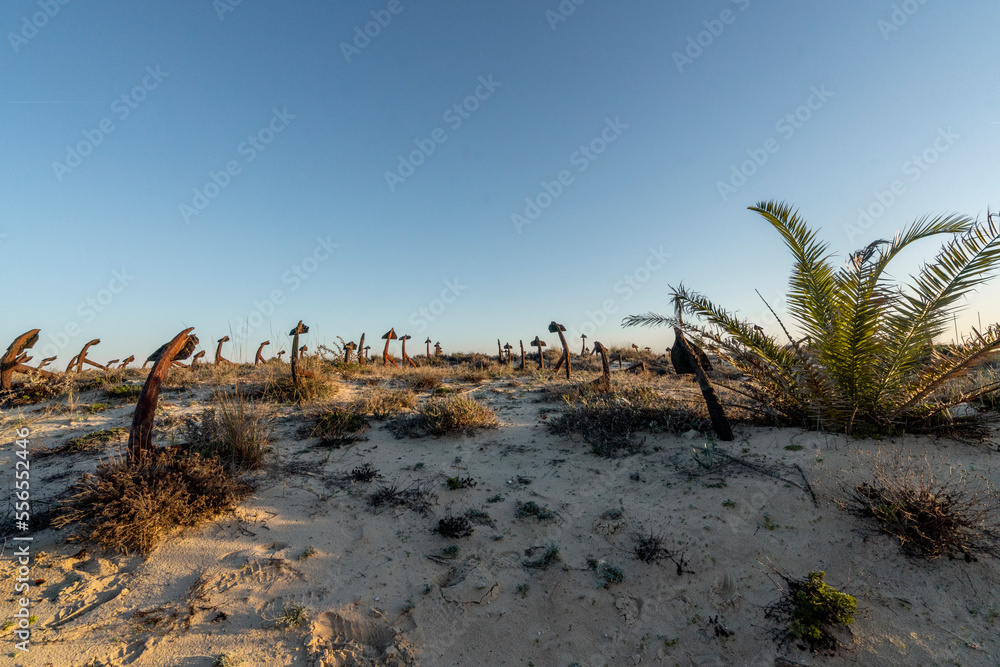 anchor graveyard with sunset lighting anchor graveyard with sunset lighting