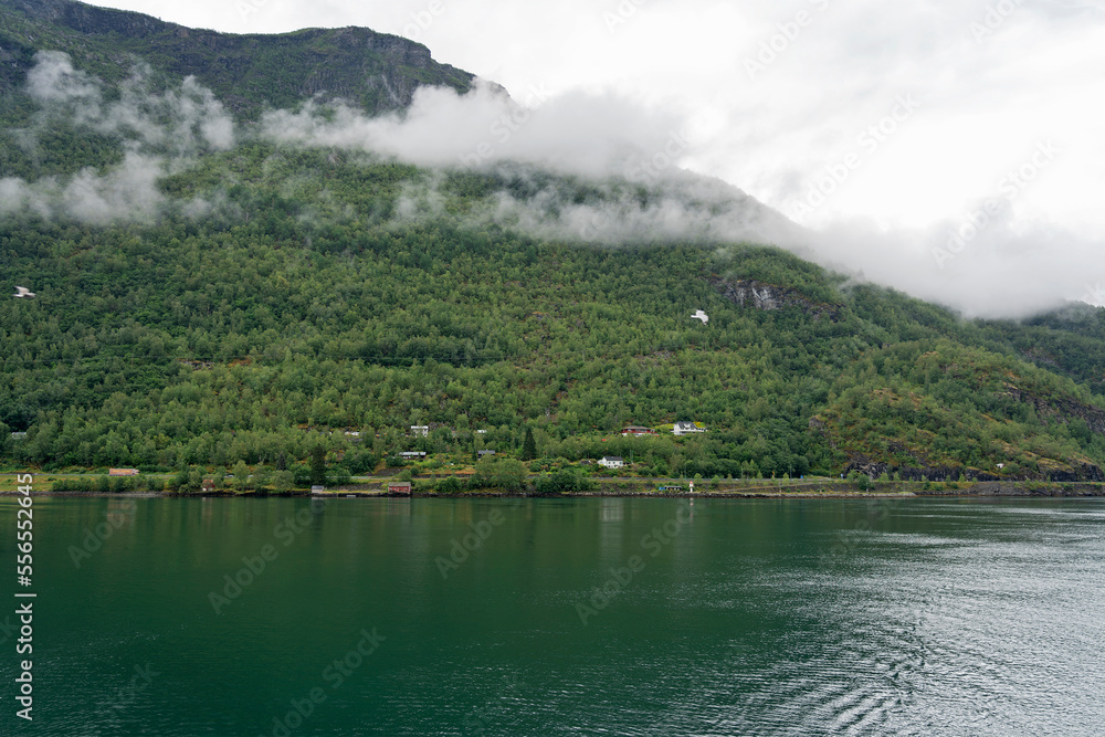 Sognefjord sea landscape view with forested hills, Norway