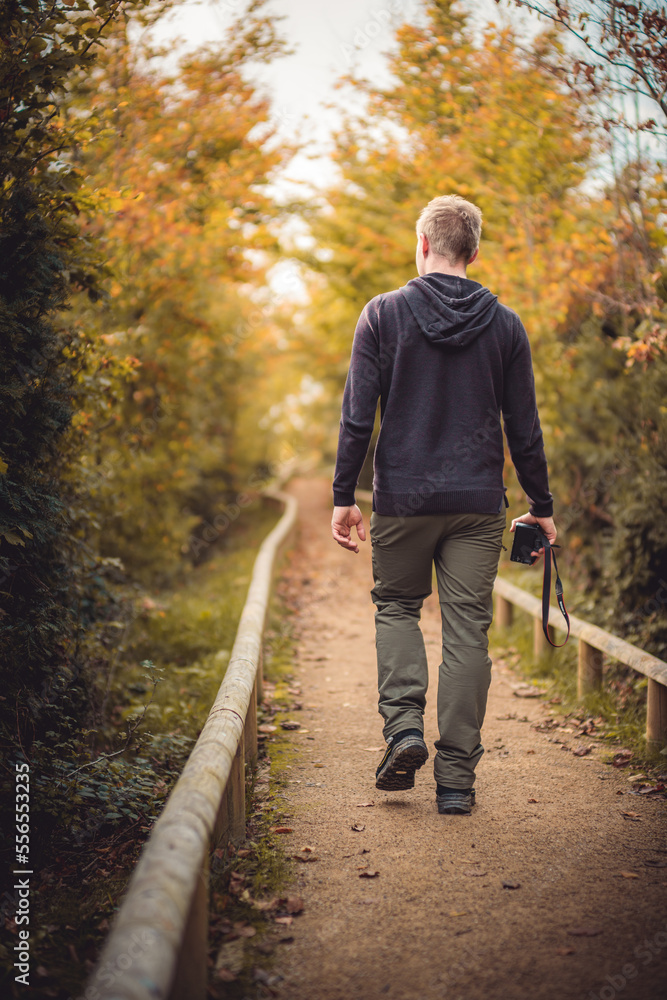 Person Wanderer Mensch auf einem Weg Waldweg im Herbst mit Blätter und Laub Person Wanderer Mensch auf einem Weg Waldweg im Herbst mit Blätter und Laub