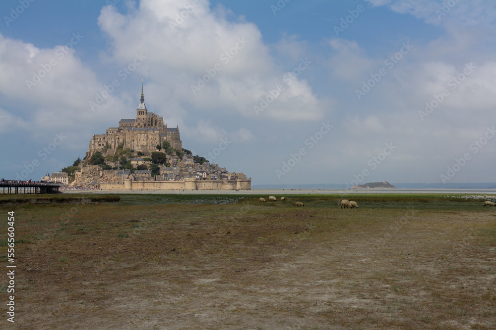 Sheep and Mont Saint-Michel
