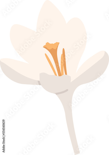 Bright white crocus spring-flowering plant flat icon