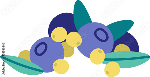 Blueberries with leaves and propolis flat icon