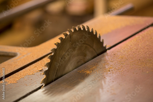 Detail of circular saw in wood industry in Brazil
