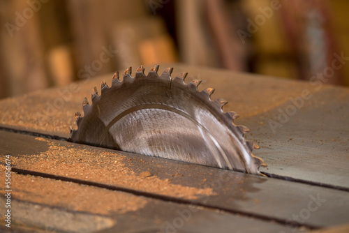 Detail of circular saw in wood industry in Brazil