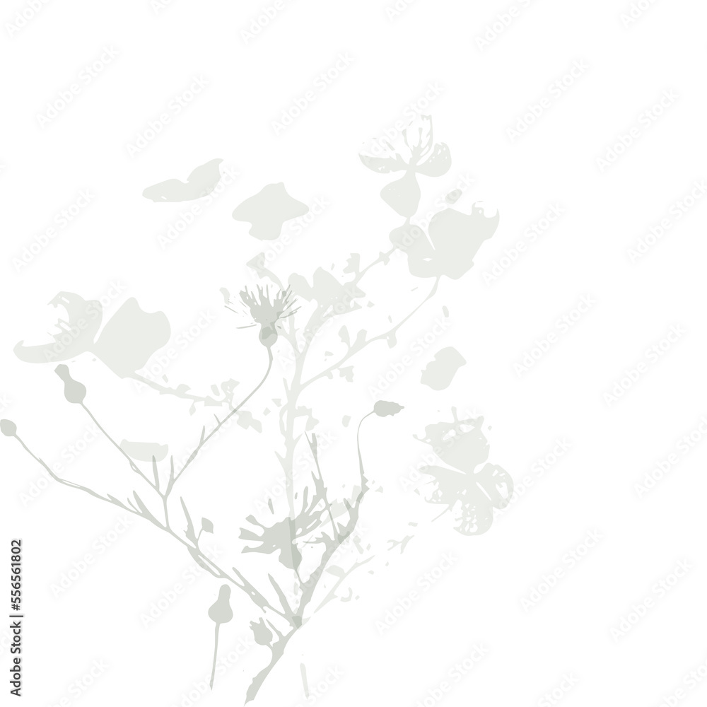 Delicate vector pattern with wild flowers
