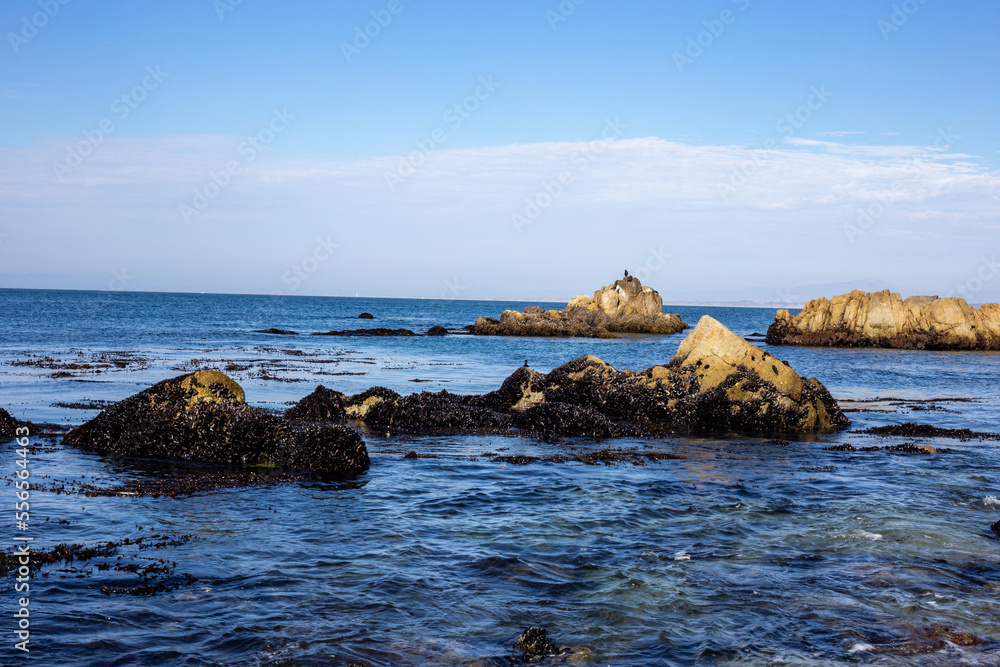 A view on the oceans with rocks