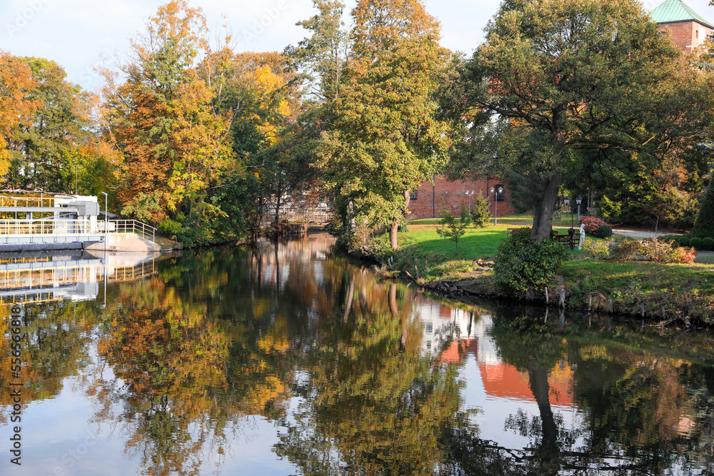 Picturesque view of river and trees in beautiful park. Autumn season