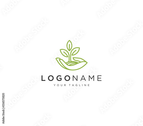 Hand holding leaf , environment nature logo vector template. Nature care environment logo