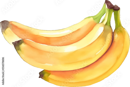 banana hand drawn with watercolor painting style illustration