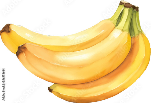 banana hand drawn with watercolor painting style illustration