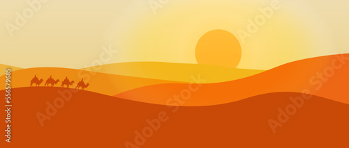 camel in the desert