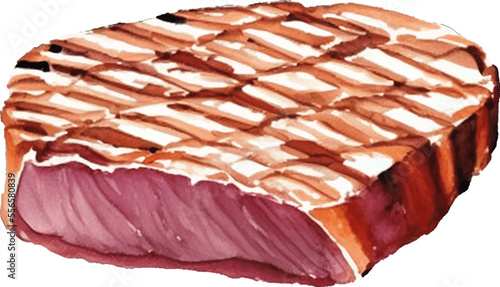 grilled steak meat hand drawn with watercolor painting style illustration