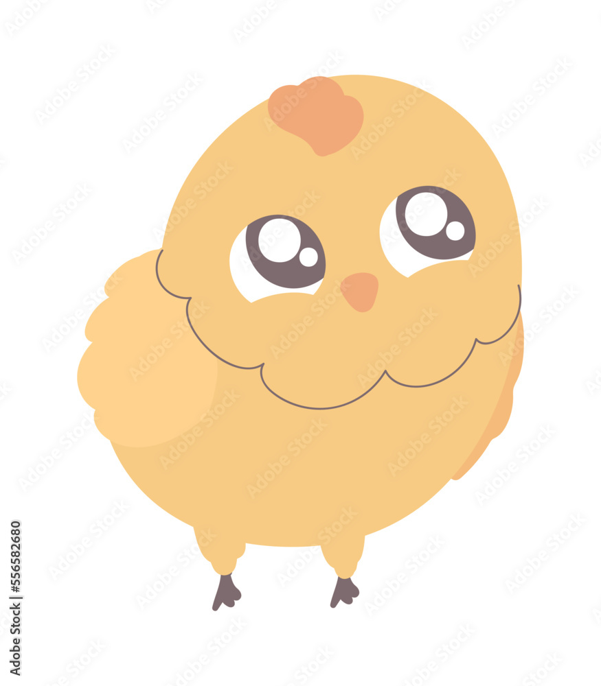 chicken cute animal chicken cute animal