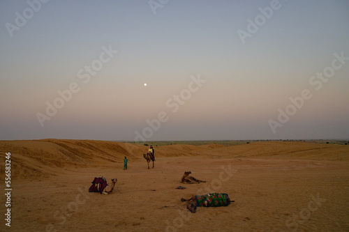 Moon set. View of Thar desert sand dunes   pre dawn light before sun rise and moon setting off in the sky. Rajasthan  India.
