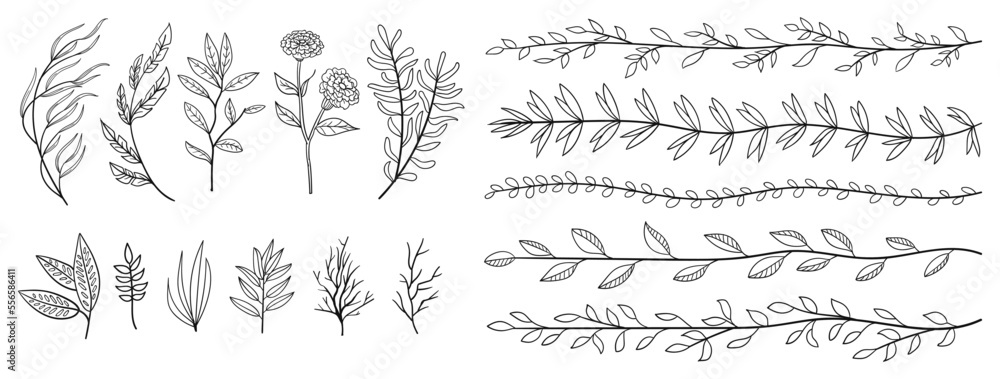 set collection plants leave hand draw vector. Drawing beautiful creeper leaves, decorative set	