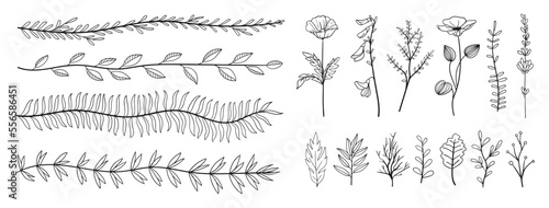 Fényképezés set collection plants leave hand drawn vector