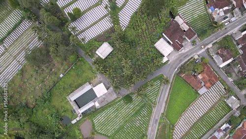 Aerial top shot of housing and fields in Ngemplak, Sleman, Indonesia photo