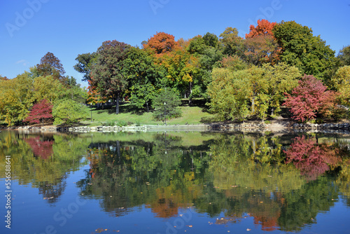The beauty and color of the autumn season on display around a lake at a park in northeastern Illinois. 