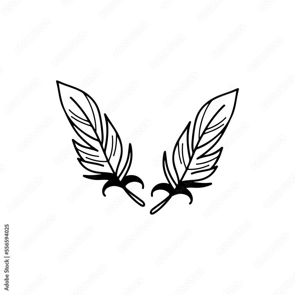 vector illustration of two feathers vector illustration of two feathers