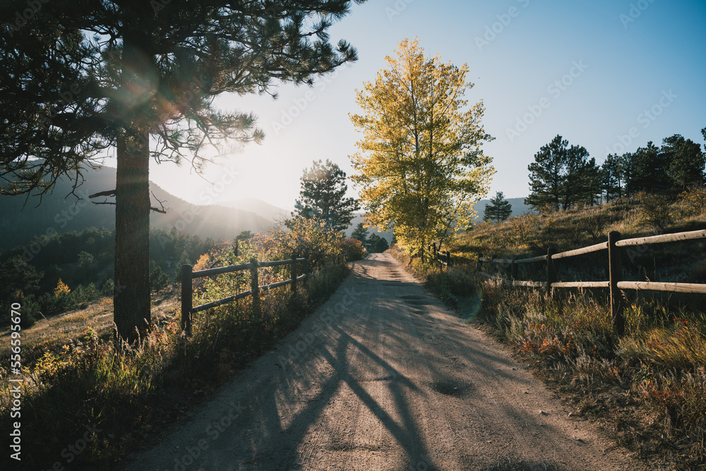 Landscape of dirt road in the Colorado Rocky Mountains with sun shining through trees and wooden fence