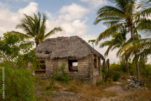 Eco-friendly tribal hut with thatched roof,