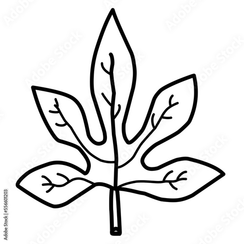  Leaf Sketch Doodle