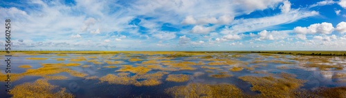 Aerial photo Florida Everglades nature landscapes