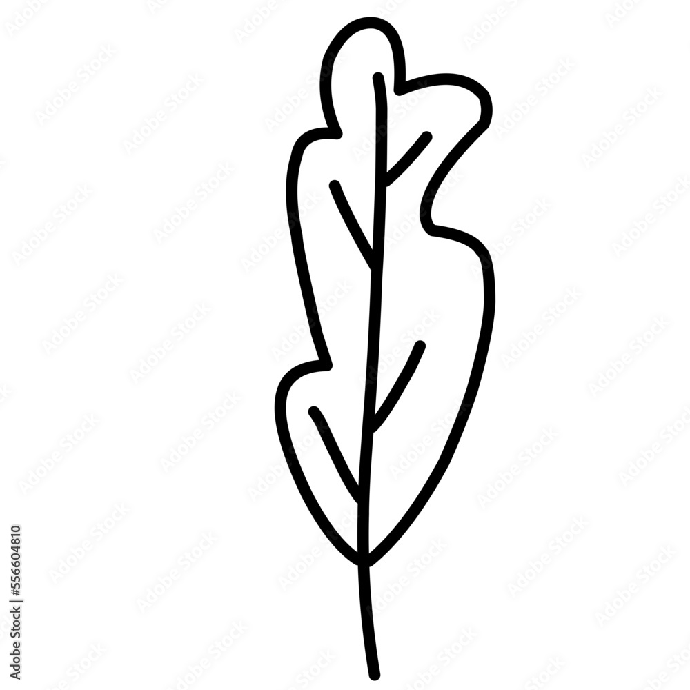 Vector Leaf Sketch Vector Leaf Sketch