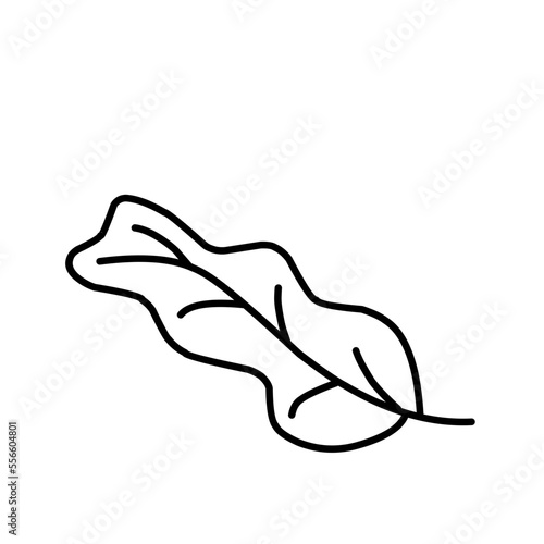 Vector Leaf Sketch