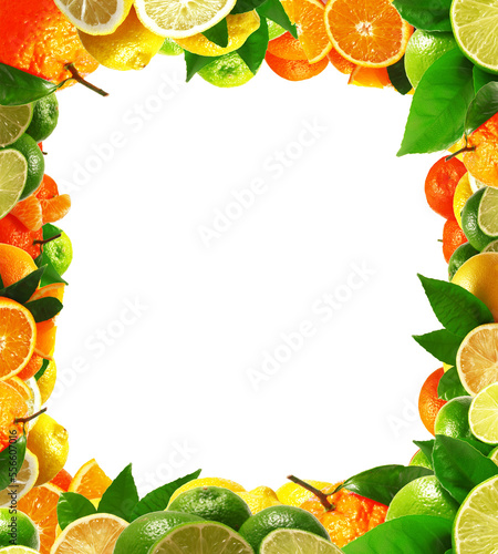 Fruit citrus frame isolated 