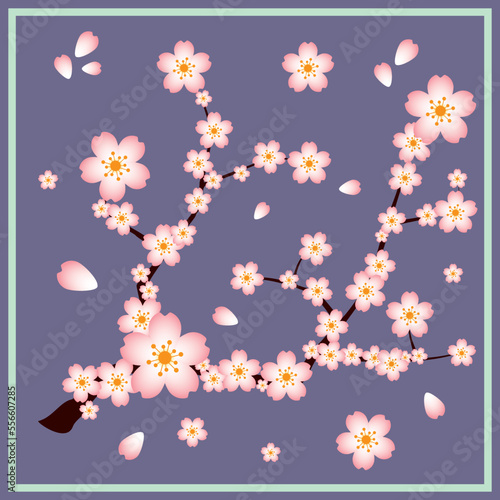 A beautiful abstract design for scarf and shawl with sakura flowers or cherry blossom flowers. it can be used for silk scarves, printed scarves, cotton scarves, chiffon scarves. cherry blossom vector.