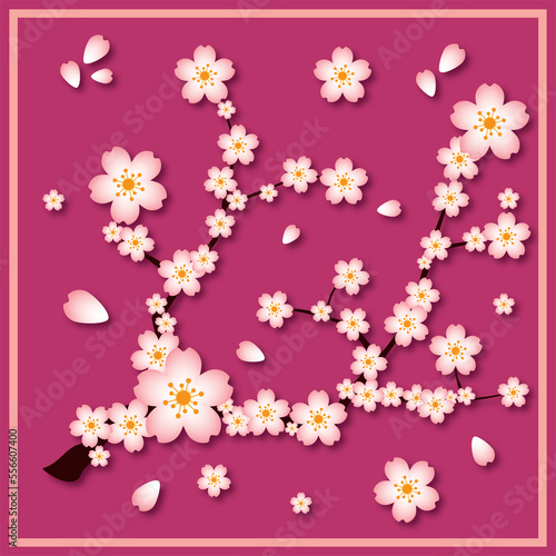 A beautiful abstract design for scarf and shawl with sakura flowers or cherry blossom flowers. it can be used for silk scarves, printed scarves, cotton scarves, chiffon scarves. cherry blossom vector.