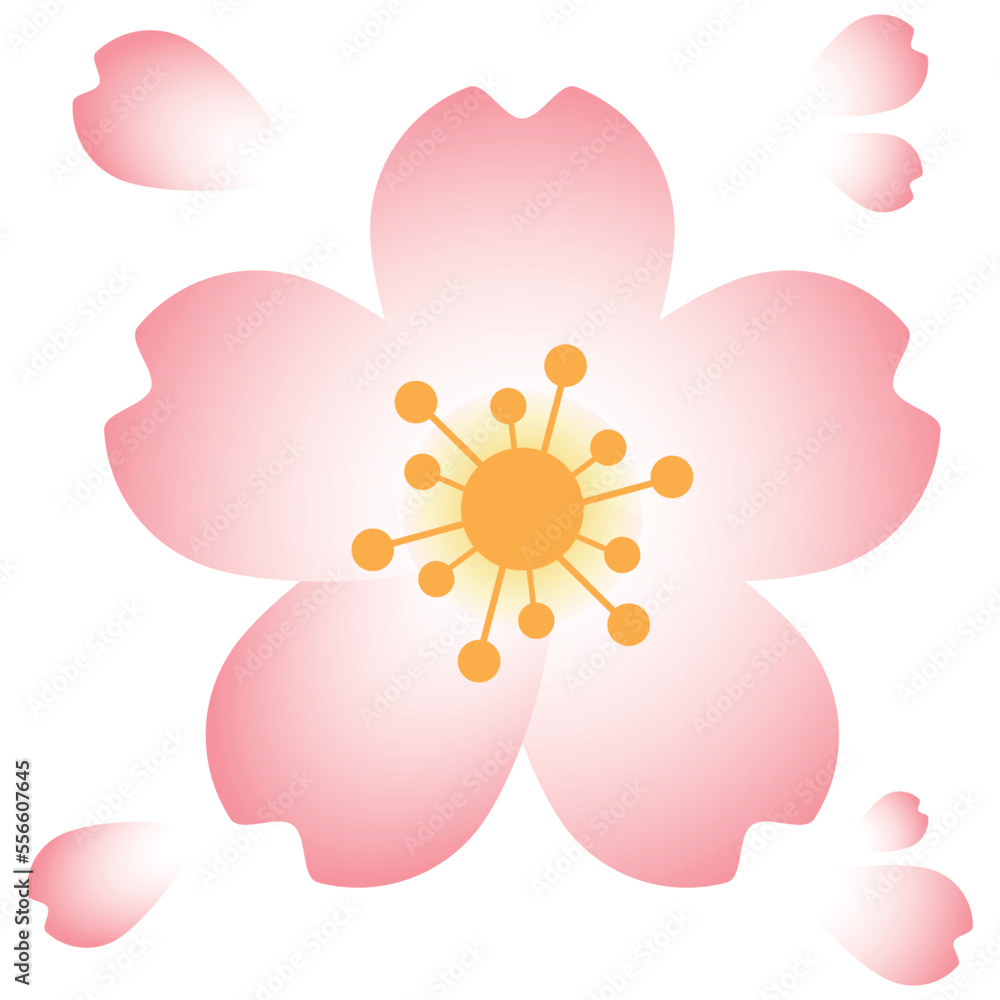 A beautiful and stunning illustration of cherry blossom flowers or also known as sakura flowers. it is one of the most popular flower in east when comes to spring time. A beautiful and stunning illustration of cherry blossom flowers or also known as sakura flowers. it is one of the most popular flower in east when comes to spring time.
