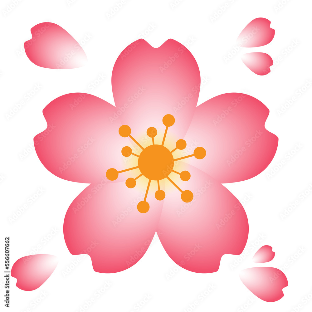 A beautiful and stunning illustration of cherry blossom flowers or also known as sakura flowers. it is one of the most popular flower in east when comes to spring time. A beautiful and stunning illustration of cherry blossom flowers or also known as sakura flowers. it is one of the most popular flower in east when comes to spring time.