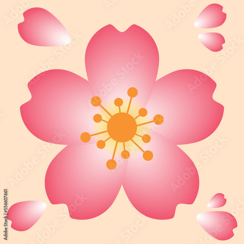 A beautiful and stunning illustration of cherry blossom flowers or also known as sakura flowers. it is one of the most popular flower in east when comes to spring time.