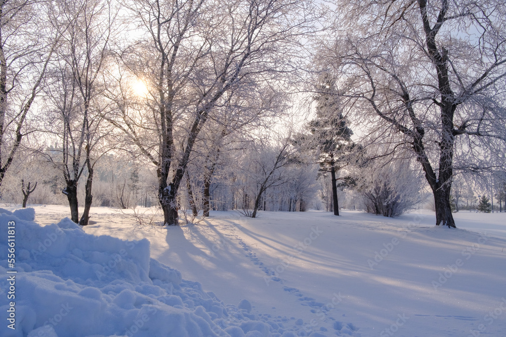 winter landscape with forest, trees covered snow winter landscape with forest, trees covered snow