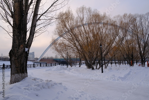 Winter landscape at sunset in the park