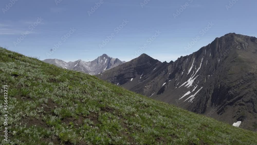 Mountain range pan from meadow sunny day, Rockies, Kananaskis, Alberta Canada Mountain range pan from meadow sunny day, Rockies, Kananaskis, Alberta Canada