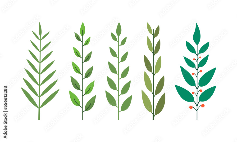 Obraz premium Set of hand drawn tropical branches leaves illustration, decorative nature leaves element.