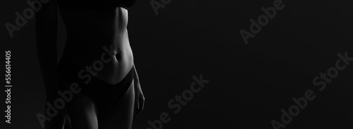Vászonkép Female nude silhouette in lingerie