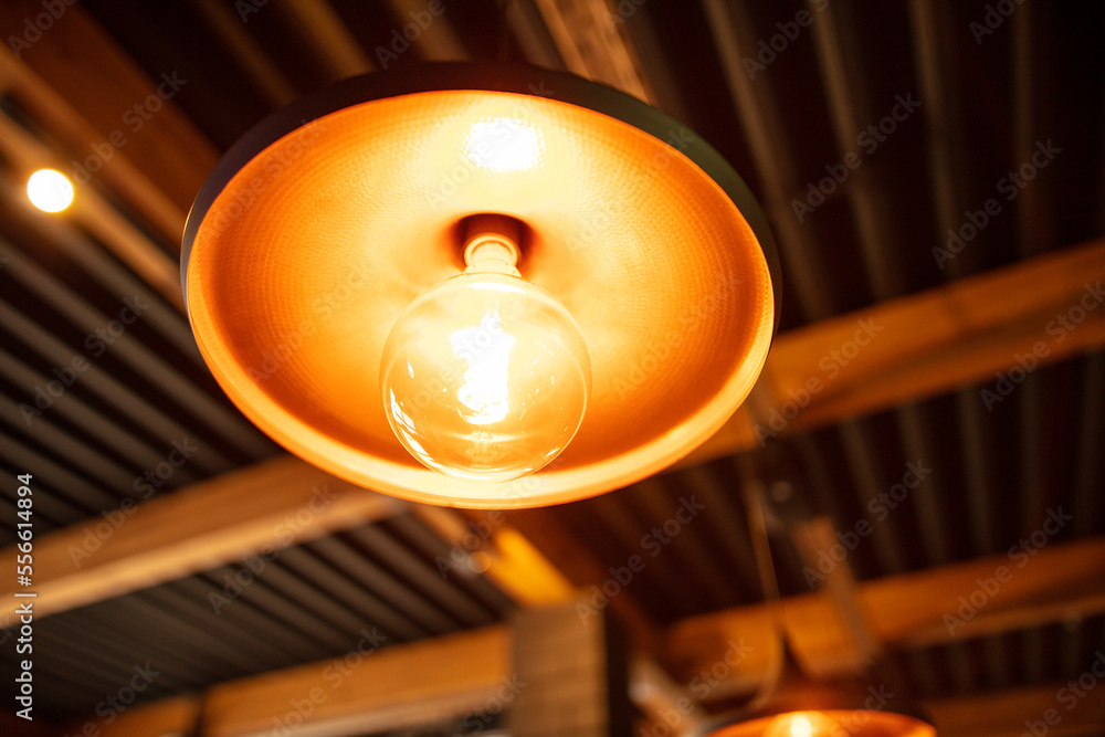 Decorative lamps on the ceiling in a cafe. Decorative lamps on the ceiling in a cafe.