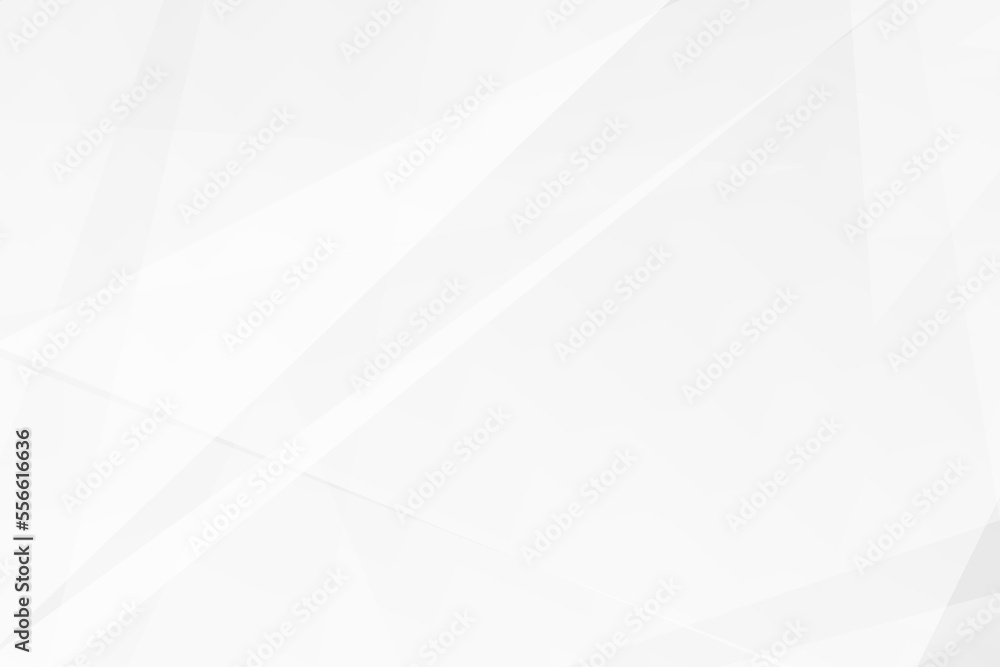 Obraz premium Abstract white and grey on light silver background modern design. Vector illustration EPS 10.
