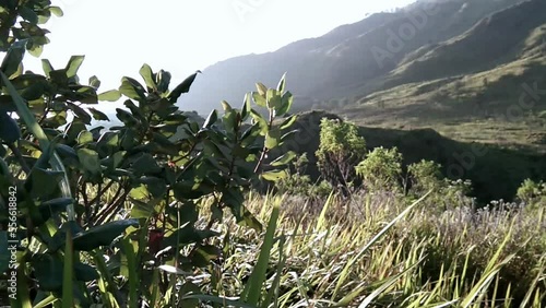 landscape view over the mountain with blue sky in the morning
