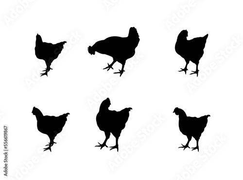 Collection of black silhouettes chickens