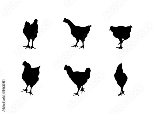 Collection of black silhouettes chickens