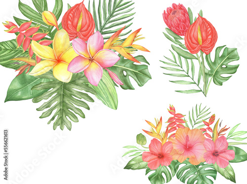 Watercolor tropical flowers bouquet composition with palm leaves and monstera on white background © nanyasem